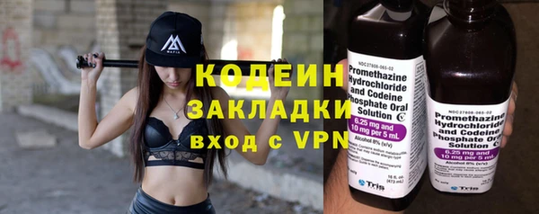 прущие грибы Михайловск