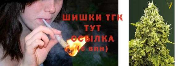 ГАЛЛЮЦИНОГЕННЫЕ ГРИБЫ Ельня