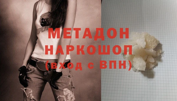 прущие грибы Михайловск