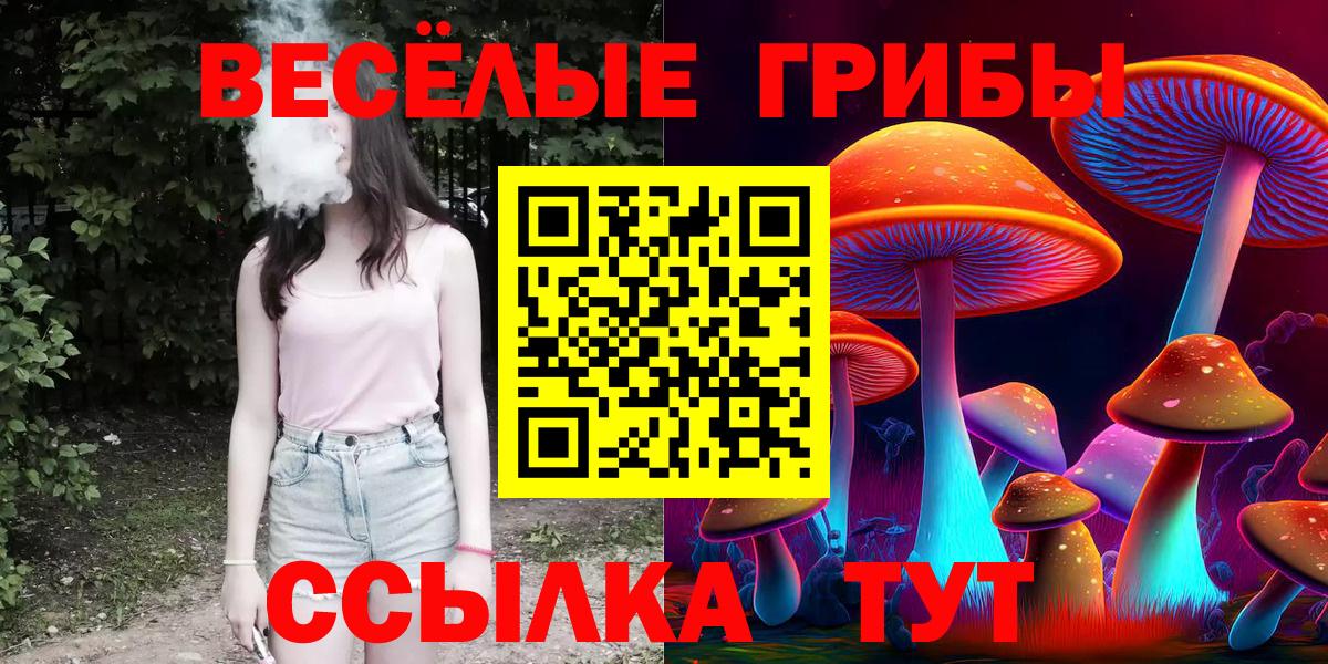 Россия  Галлюциногенные грибы мухоморы  Псилоцибиновые грибы Cubensis  Вход с VPN 