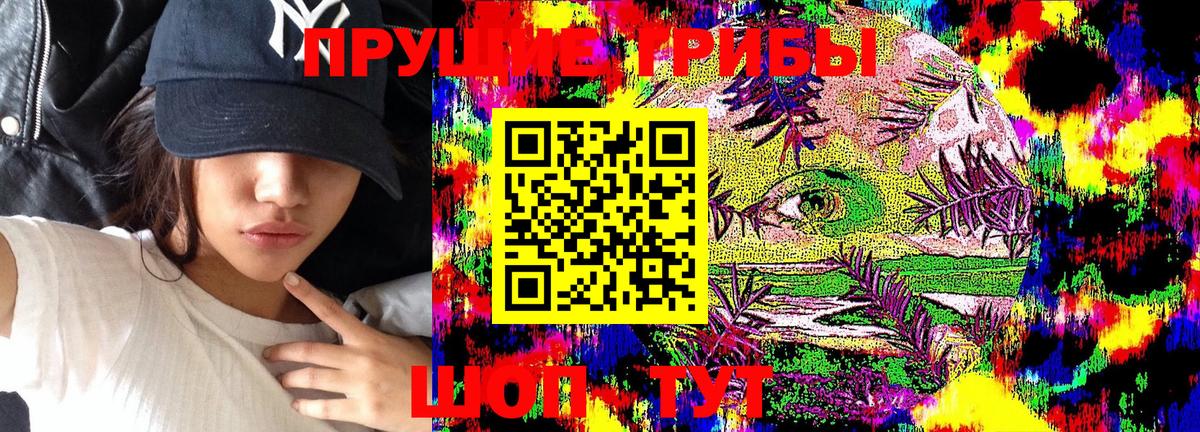 Россия  Псилоцибиновые грибы MAGIC MUSHROOMS  Вход с VPN 
